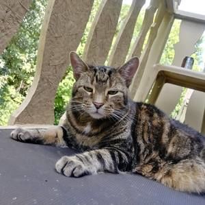 Meet your Posher, Sean